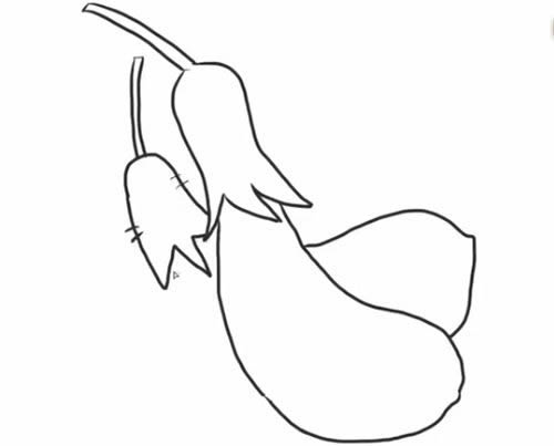 茄子簡(jiǎn)筆畫步驟教程
