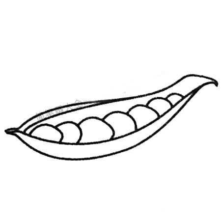 豌豆簡(jiǎn)筆畫大全