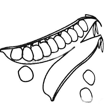 豌豆簡(jiǎn)筆畫大全