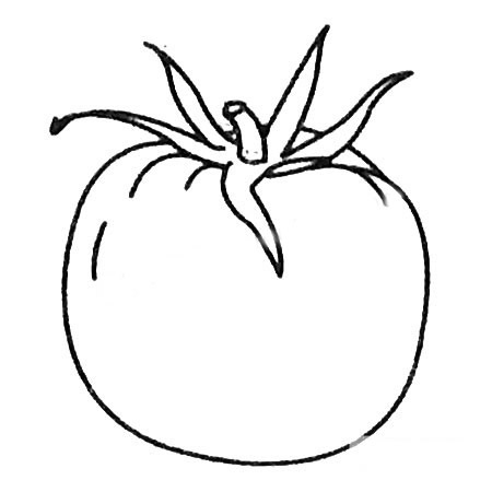 三步畫出簡單的番茄