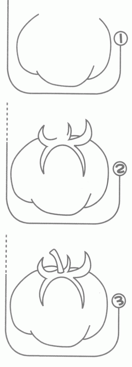 西紅柿簡(jiǎn)筆畫(huà)分解步驟
