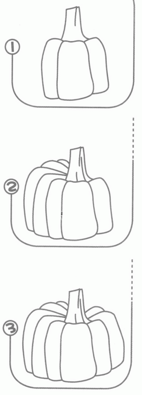 南瓜簡筆畫分解步驟