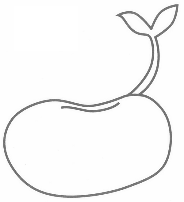 豆芽簡(jiǎn)筆畫(huà)步驟