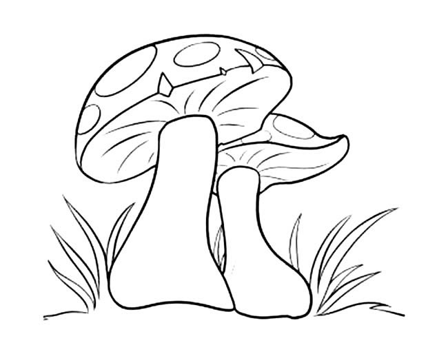 簡單好看的蘑菇簡筆畫
