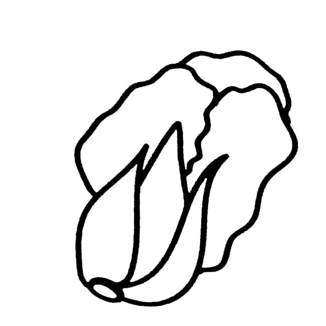 幾筆就能畫出大白菜