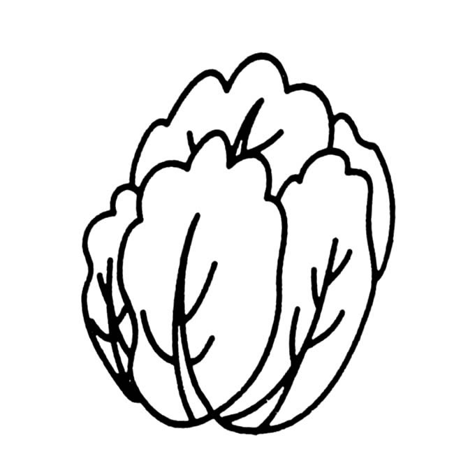白菜簡筆畫