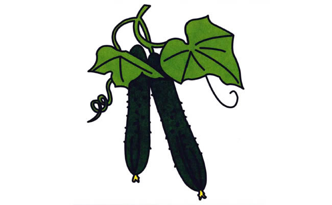綠色的黃瓜簡(jiǎn)筆畫