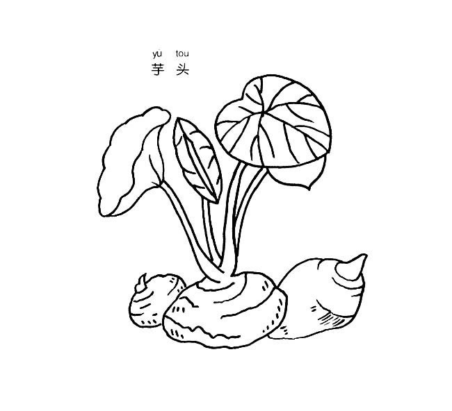 芋頭簡筆畫