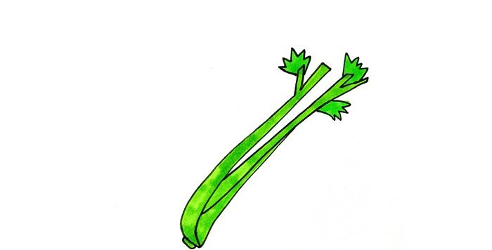 芹菜怎么畫
