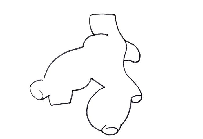 生姜怎么畫